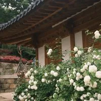 🇰🇷小呂血拼🇰🇷 歡迎許願 韓國代買 韓國代購 國外採購