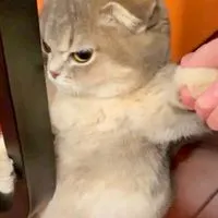 撩撩不負責