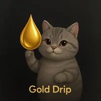 🪐𝑮𝒐𝒍𝒅 𝑫𝒓𝒊𝒑金滴代購✧₊⁺