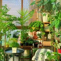 植愛無限•小森圈🍀種植二群～