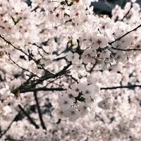 日本小物代購🇯🇵甜甜價
