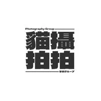 貓攝拍拍