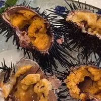 新竹活鮑魚/活紫海膽/透抽/脆卷/生魚片專屬區🫶🏻
