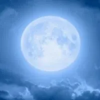🌗月亮代表我的心 全國按摩廣告自由分享