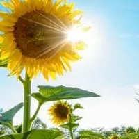 簡單的生活就是幸福🌻45+50+