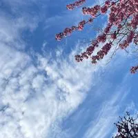 Karen育兒療癒健康站✨