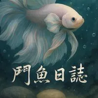 🫧🐟鬥魚日誌🫧🐟