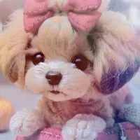 小型犬聯合國⭐️