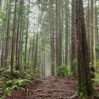 袋鼠不在家戶外知識交流群