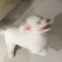快樂源泉發電廠👀