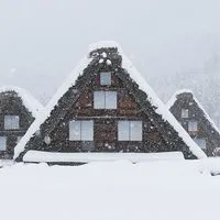 2A生活旅遊團