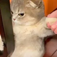 亂聊不用負責