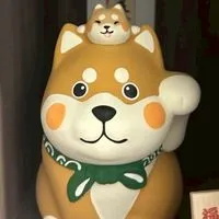 洋洋媽咪日本代購