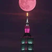 韓國代購2👑