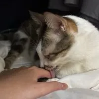 Petdaily 毛孩日常