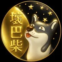 台南自售⬛️壞巴柴