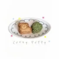 lucky puppy ⋆.˚𖦹 偶像周邊 ☘︎ 娃衣代購