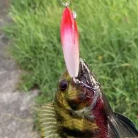 跟著海瓜子來搞休閒