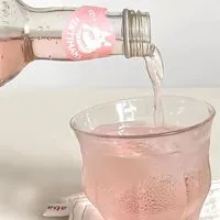 蘋蘋🍎不定期各國代購