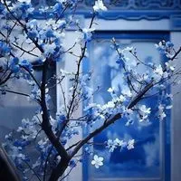 🌸～花香～🌸！你我的香氣～聊天&談心、心事分享、負能量、交心！純 聊（No.2)