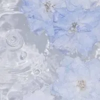 ˚₊‧꒰ა一路繁花 星途璀璨⊹ᯓ𖤐
