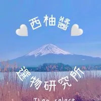 《西柚醬の選物研究所❤️Theo Select❤️》