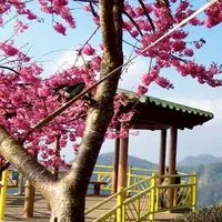 南部 PPL俱樂部