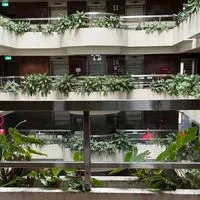 興中興中抱抱散戶團