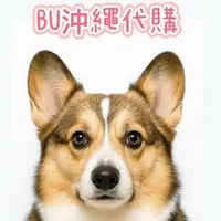 BU沖繩代購8/25結單 9/1開始出貨✈️
