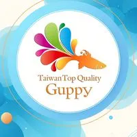 🐠 搶標熱！TTQG 孔雀魚拍賣場