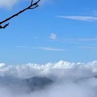 35+唯一有 你妳  距離剛剛好 感覺剛剛好  眾生皆草木  唯你是唯一