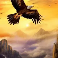 🦅大展宏圖📈