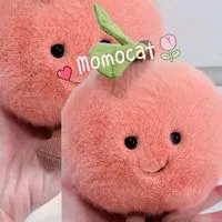 MomoCat_Official