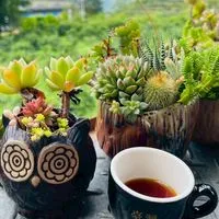 自在50+生活圈
