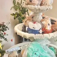 Ariana文博會代購