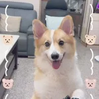 埔里好市多代購｜靉生活館