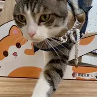 転運充電棧