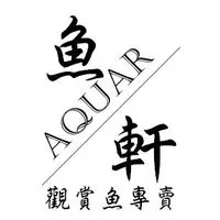魚軒水族『台中在地30年老店，金魚、錦鯉、孔雀魚…各種多樣魚種』