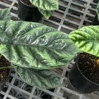 理財菜鳥同樂會