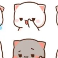 🐱喵喵日本關西代購