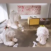 嗑美帶你玩、國內外旅遊通🧳