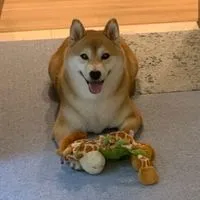 俊毅生活小舖