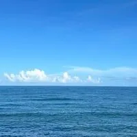 桃園猛健樂分享