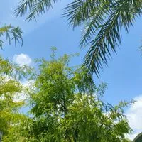 放飛雙手
