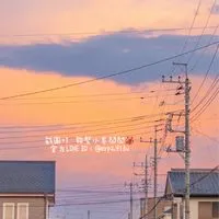 ⊹ 🦑小卷1/8-1/12東京代購🇯🇵💫 ⊹