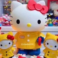 三麗鷗買賣交流玩具屋🧸分享/交換/工商