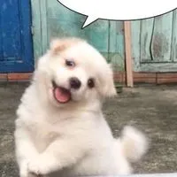 용용韓國代購🇰🇷
