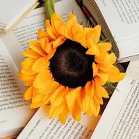 🌻言言老師的向日葵花園