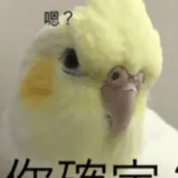 j108功課討論群
