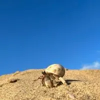獨憂憂不如眾憂憂